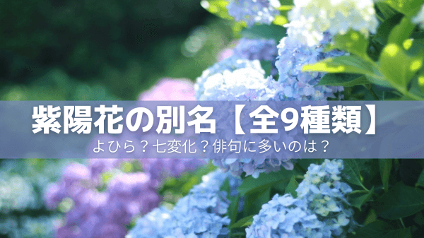 紫陽花の別名【全9種類】