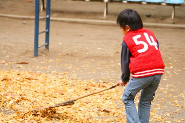 銀杏の落ち葉を掃き集める子供