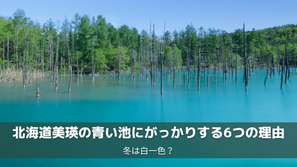 北海道美瑛の青い池にがっかりする6つの理由！冬は白一色？